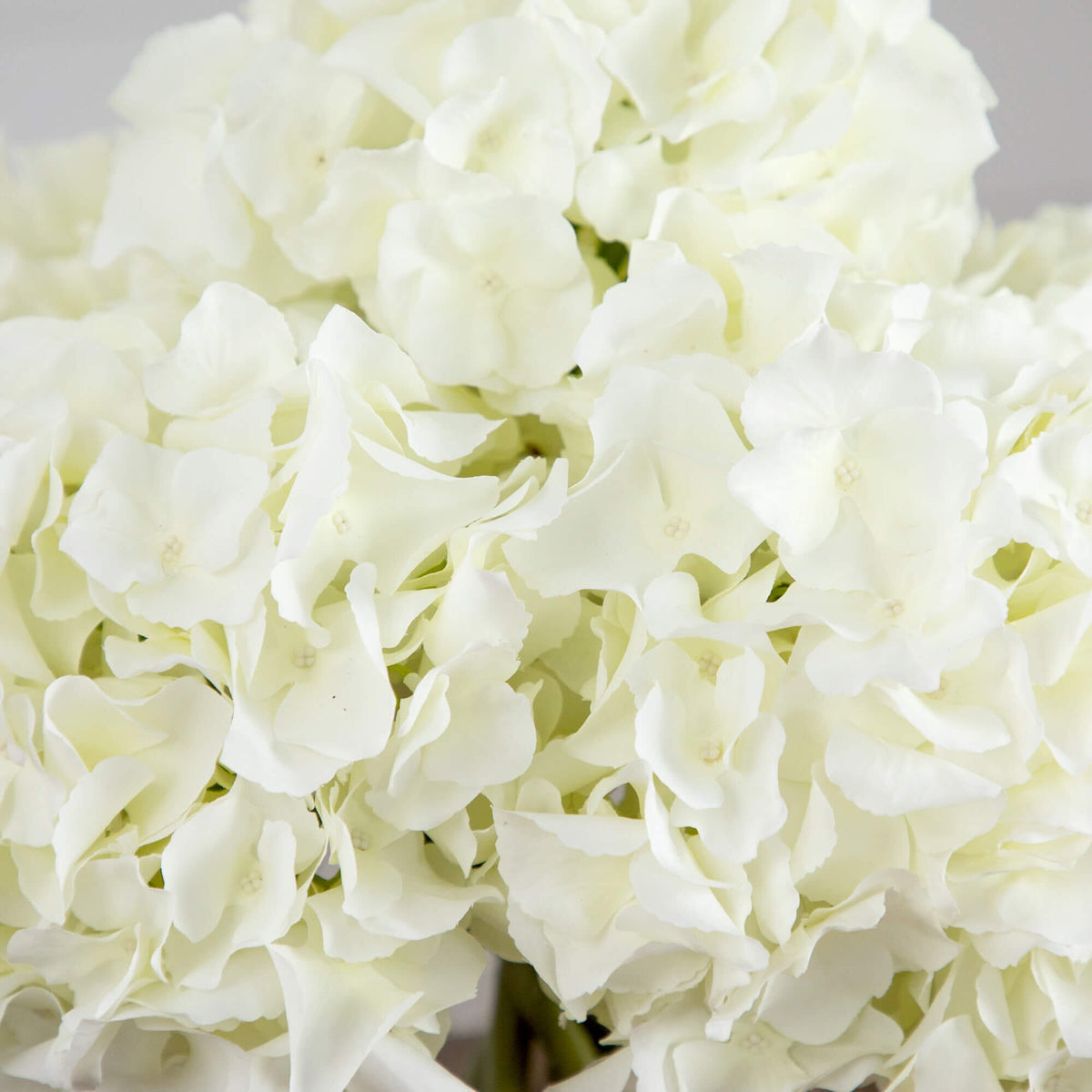 💚 Gift-Worthy | Graceful Hydrangea Bloom Charm | Timeless Artificial Arrangement
