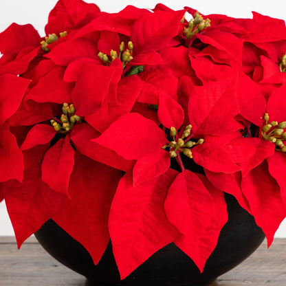 🎀 Gift-Worthy | Refined Poinsettia Petal Decor | Timeless Artificial Arrangement