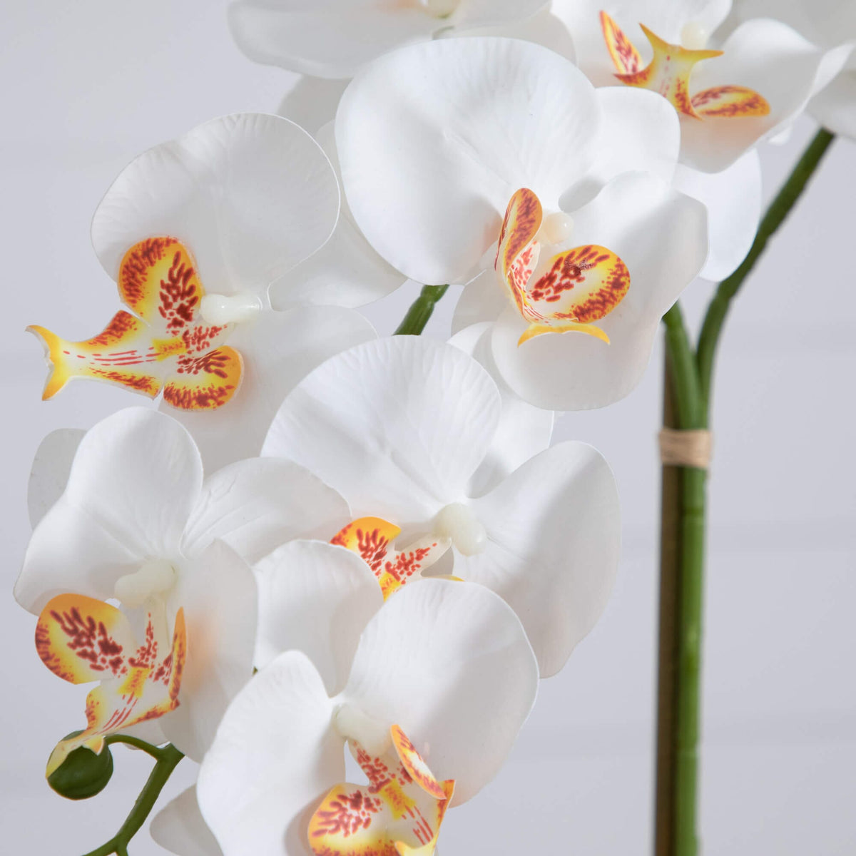 💌 Gift-Worthy | Bright Orchid Vintage Elegance | Timeless Artificial Arrangement