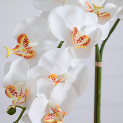 💌 Gift-Worthy | Bright Orchid Vintage Elegance | Timeless Artificial Arrangement