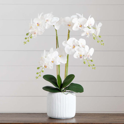 💎 Gift-Worthy | Refined Orchid Cottage Delight | Timeless Artificial Arrangement