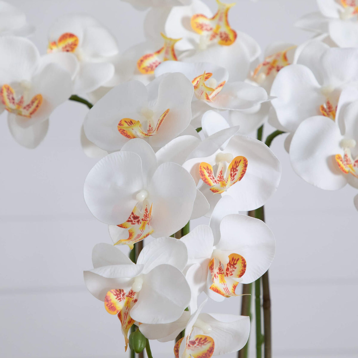 💘 Gift-Worthy | Timeless Orchid Floral Accents | Timeless Artificial Arrangement