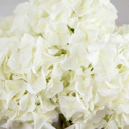 💚 Gift-Worthy | Graceful Hydrangea Bloom Charm | Timeless Artificial Arrangement